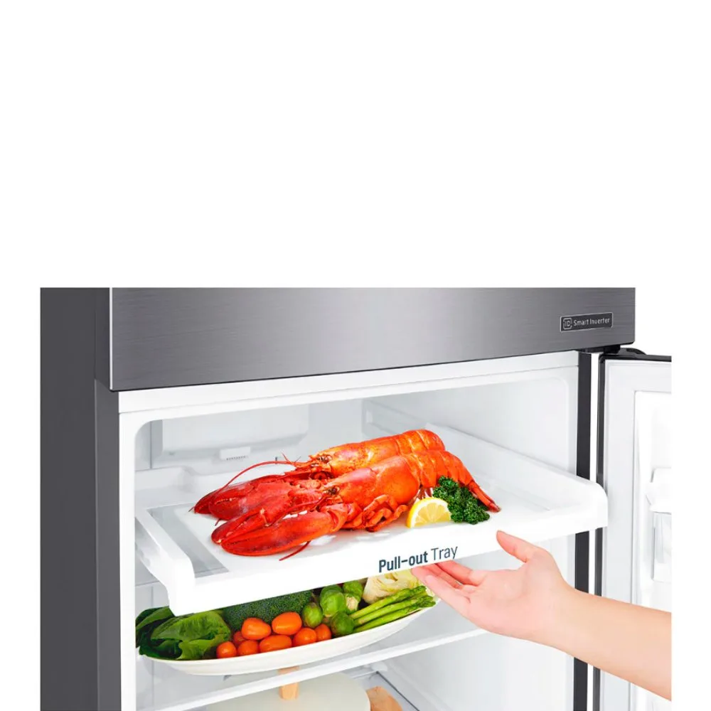 Refrigerador LG con Compresor Smart Inverter y Tecnologia DoorCooling™ GT29BPPDC 2